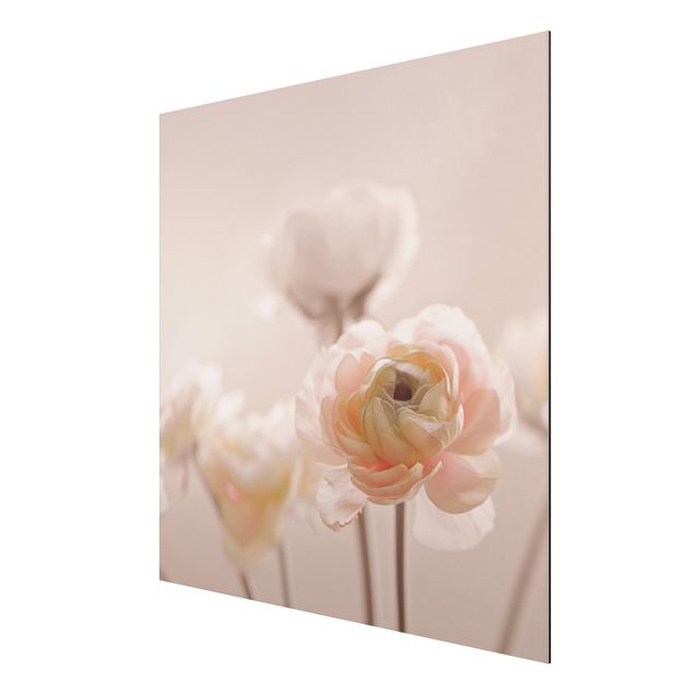 Aluminium Dibond schilderijen Delicate Bouquet Of Light Pink Flowers