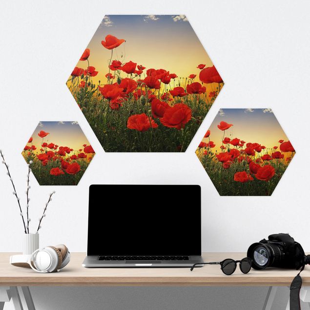 Hexagons Forex schilderijen Poppy Field In Sunset