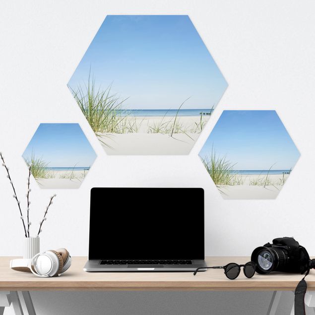 Hexagons Forex schilderijen Baltic Sea Coast