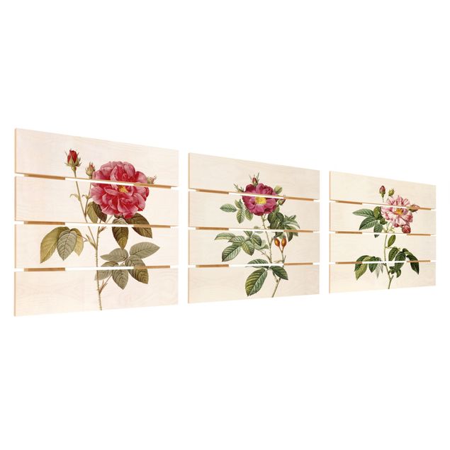 Houten schilderijen op plank - 3-delig Pierre Joseph Redouté - Roses
