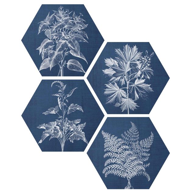 Hexagons Forex schilderijen - 4-delig Denim Plant Study Set II