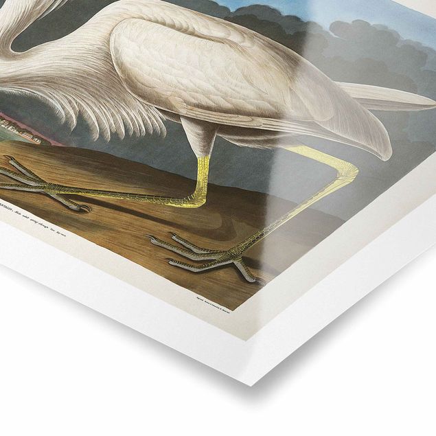 Posters Vintage Board Great White Egret
