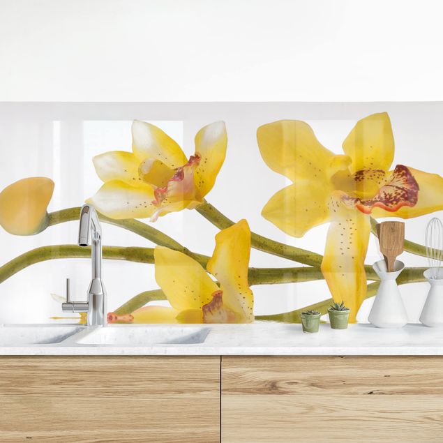 Achterwand voor keuken bloemen Saffron Orchid Waters