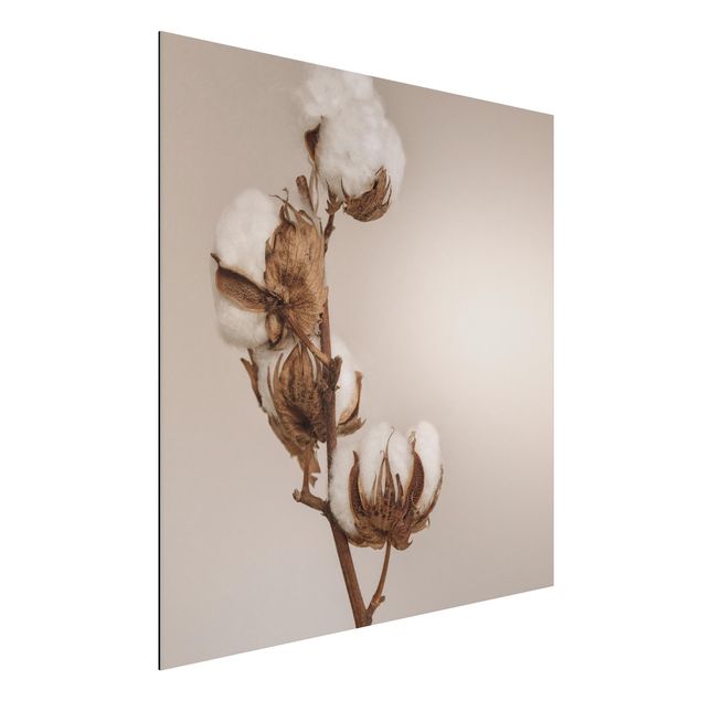 Aluminium Dibond schilderijen Fragile Cotton Twig