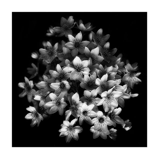 tapijt zwart wit Dark Clematis Bouquet