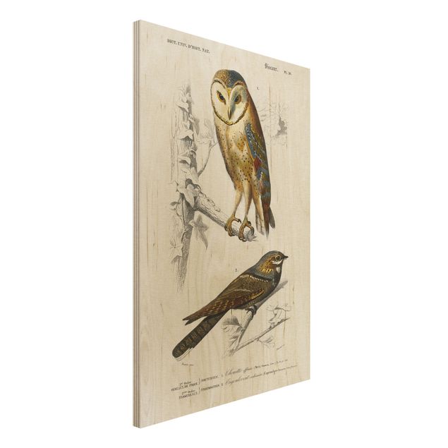 Houten schilderijen Vintage Board Owl And Swallow