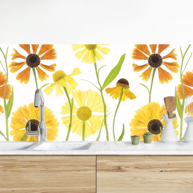 Achterwand voor keuken bloemen Helenium