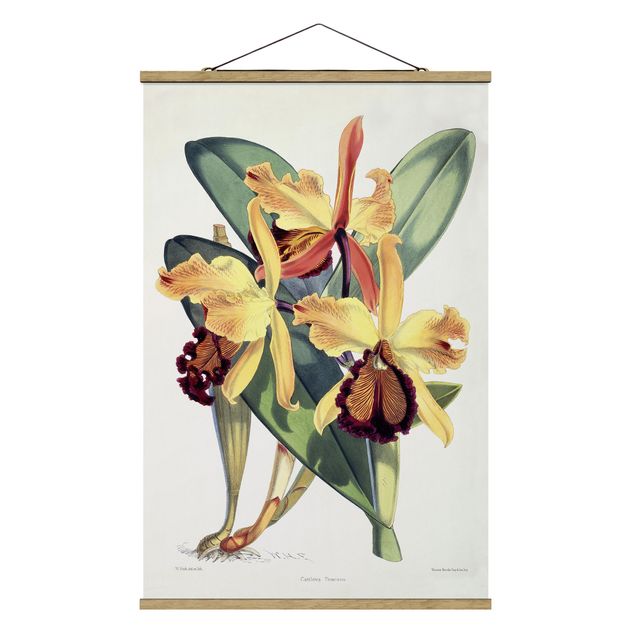 Stoffen schilderij met posterlijst Walter Hood Fitch - Orchid