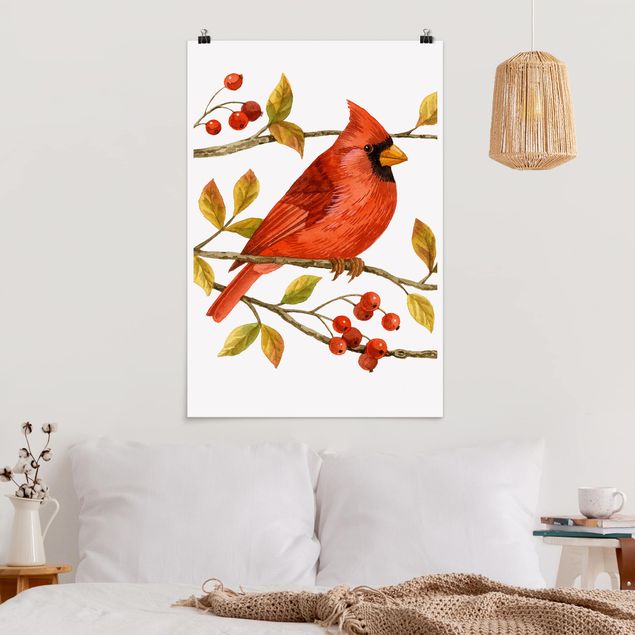 Posters Birds And Berries - Northern Cardinal
