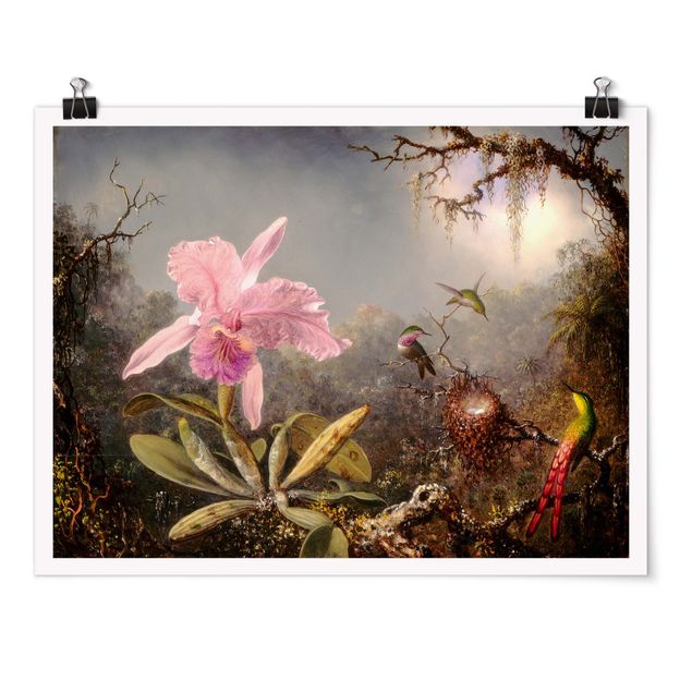 Posters Martin Johnson Heade - Orchid And Three Hummingbirds
