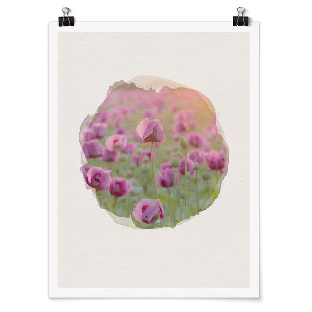 Posters WaterColours - Violet Poppy Flowers Meadow In Spring
