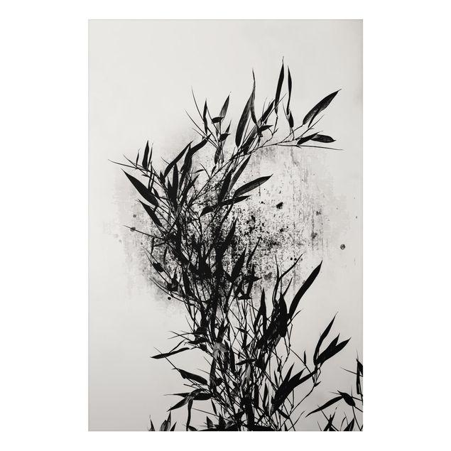 Aluminium Dibond schilderijen Graphical Plant World - Black Bamboo