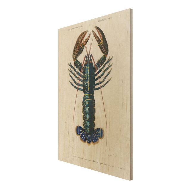 Houten schilderijen Vintage Board Blue Lobster