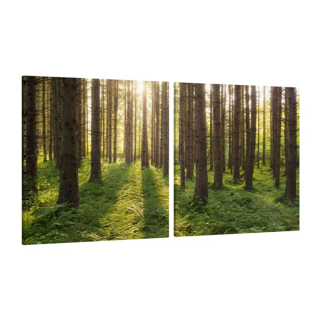 Canvas schilderijen - 2-delig  Sun Rays In Green Forest