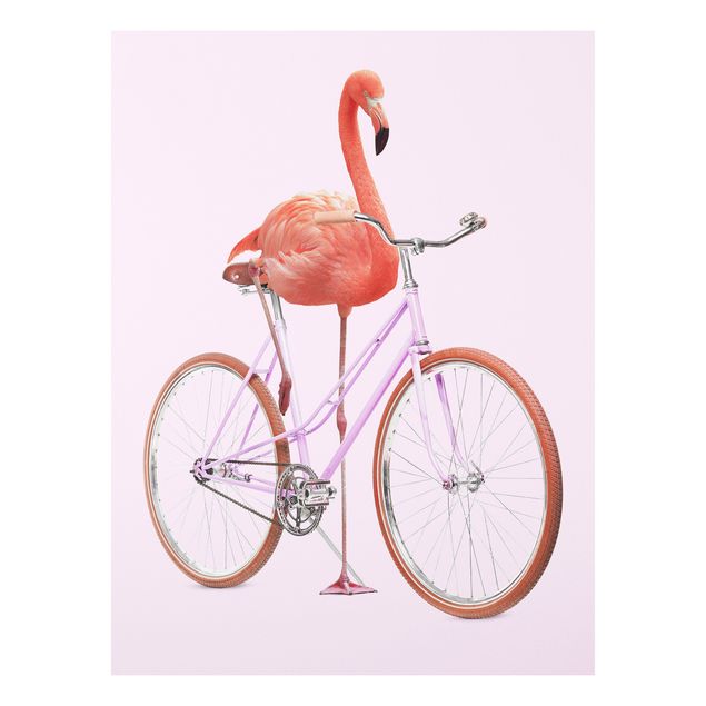 Forex schilderijen Flamingo With Bicycle