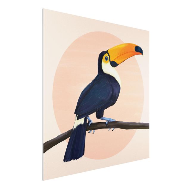 Forex schilderijen Illustration Bird Toucan Painting Pastel