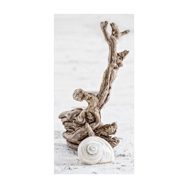 Crème tapijt White Snail Shell And Root Wood