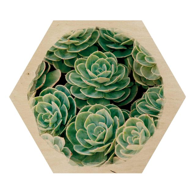 Hexagons houten schilderijen Water Colours - Green Succulents