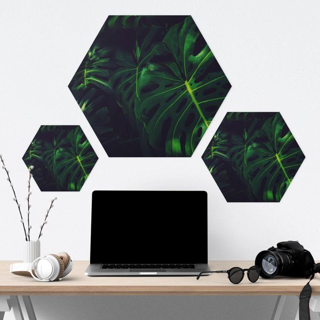 Hexagons Aluminium Dibond schilderijen Monstera Jungle