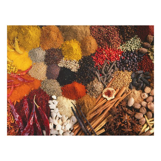 Spatscherm keuken Exotic Spices