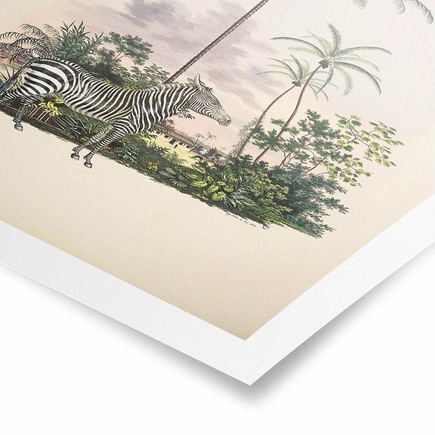 Posters Zebra Front Of Palm Trees Illustration