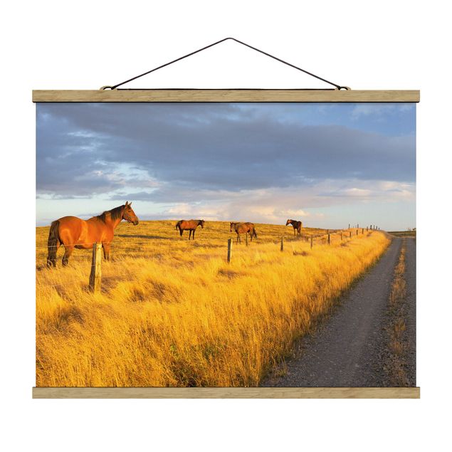 Stoffen schilderij met posterlijst Field Road And Horse In Evening Sun