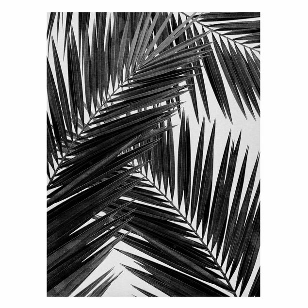 Magneetborden View Through Palm Leaves Black And White