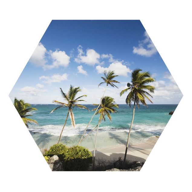 Hexagons Forex schilderijen Beach Of Barbados