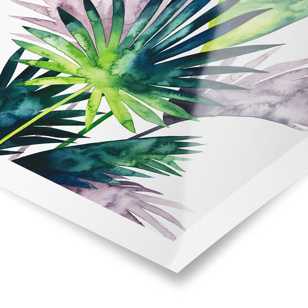 Posters Exotic Foliage - Fan Palm