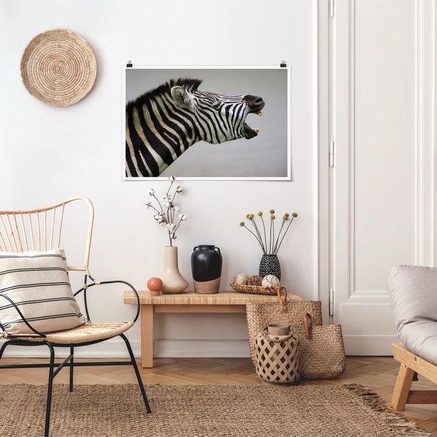 Posters Roaring Zebra