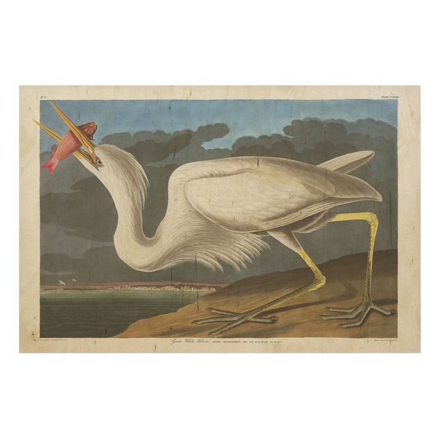 Houten schilderijen Vintage Board Great White Egret