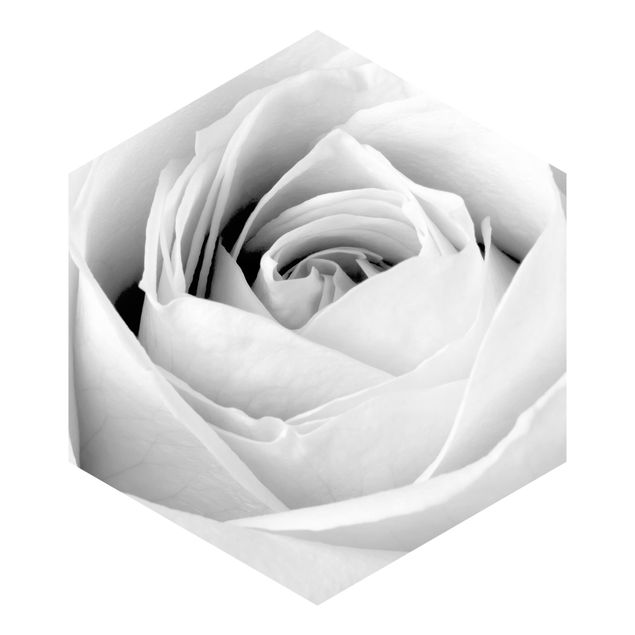 Hexagon Behang Close Up Rose