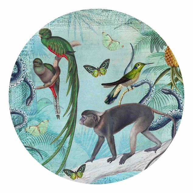 Behangcirkel Colonial Style Collage - Monkeys And Birds Of Paradise
