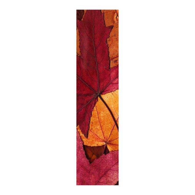 Schuifgordijnen Coloured Leaves