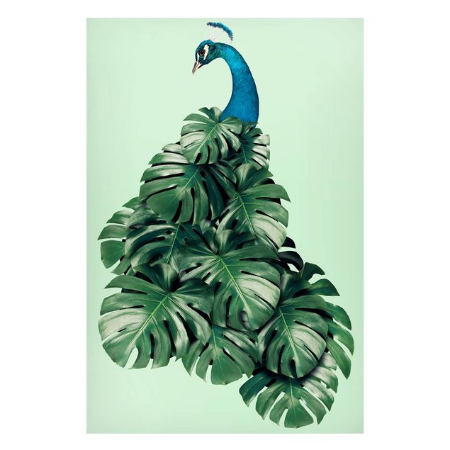 Magneetborden Peacock With Monstera Leaves