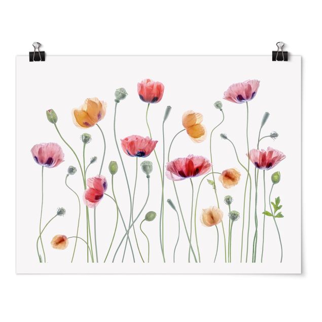 Posters Poppy Party