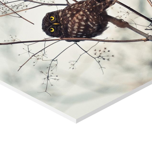 Hexagons Forex schilderijen Owl In The Winter