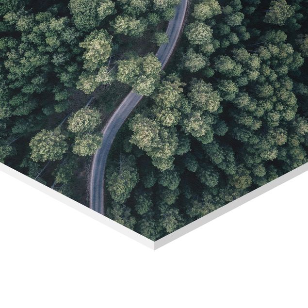 Hexagons Forex schilderijen Aerial View - Forest Road From The Top