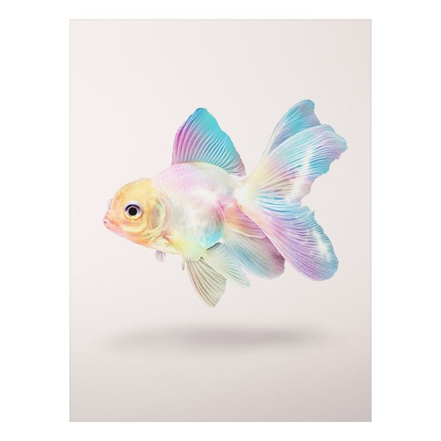 Aluminium Dibond schilderijen Fish In Pastel