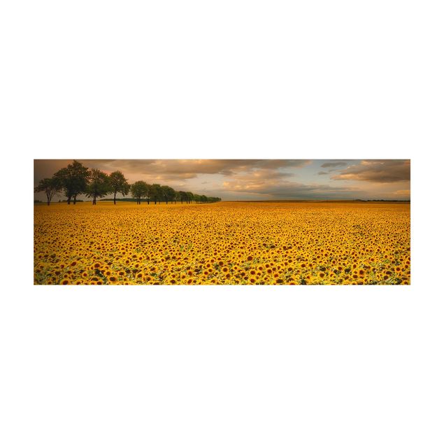 Vloerkleed eetkamer Field With Sunflowers
