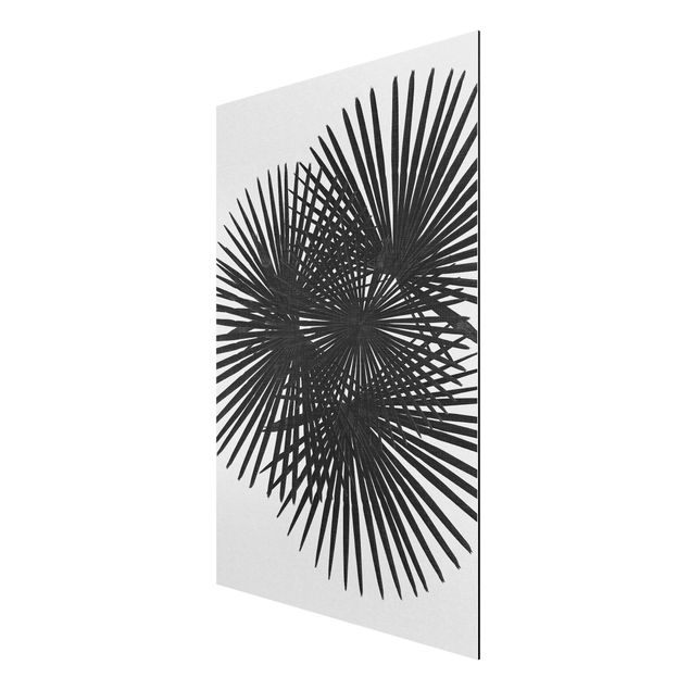 Aluminium Dibond schilderijen Palm Leaves In Black And White