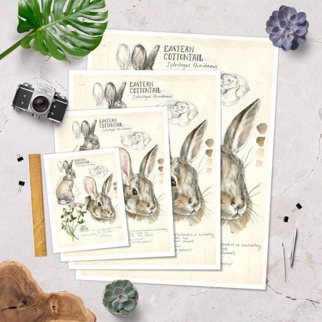 Posters Wilderness Journal - Rabbit
