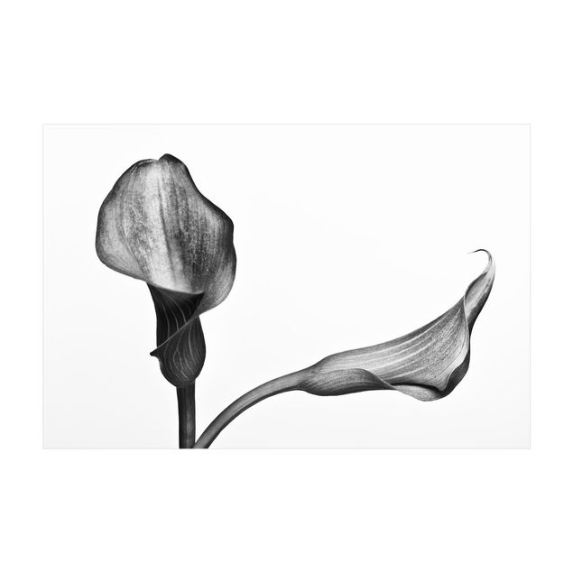 Vloerkleed natuur Calla Close-Up Black And White