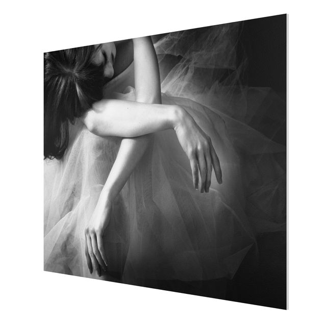 Forex schilderijen The Hands Of A Ballerina