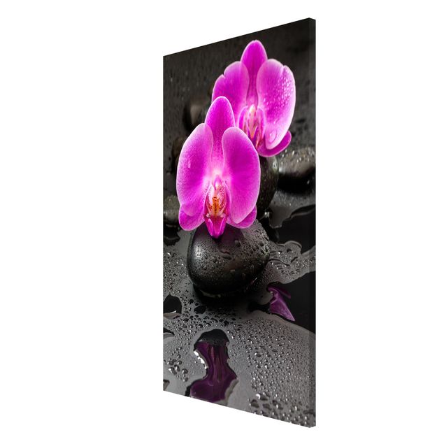 Magneetborden Pink Orchid Flower On Stones With Drops