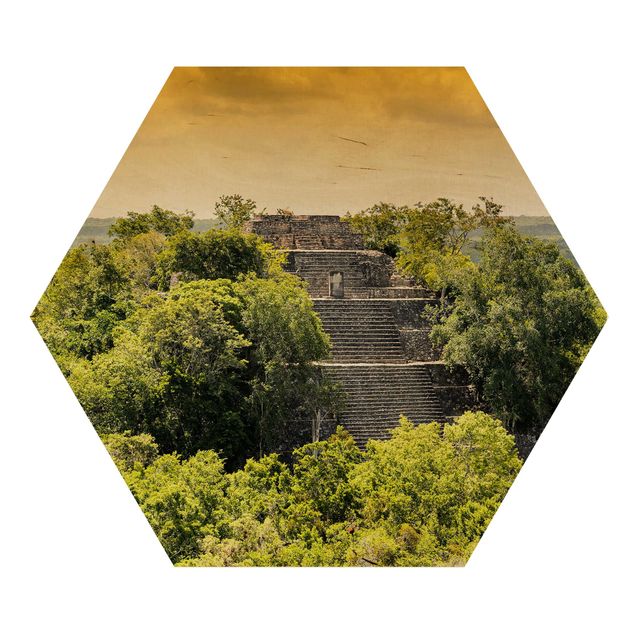 Hexagons houten schilderijen Pyramid of Calakmul