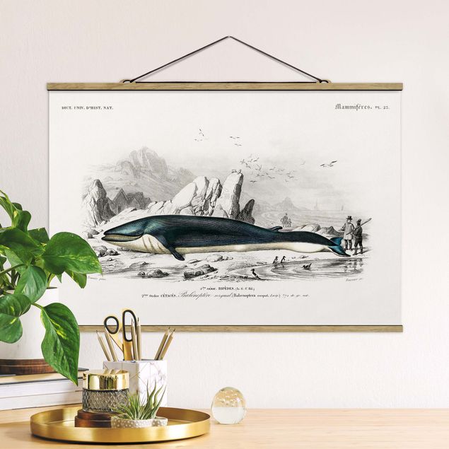 Stoffen schilderij met posterlijst Vintage Board Blue Whale
