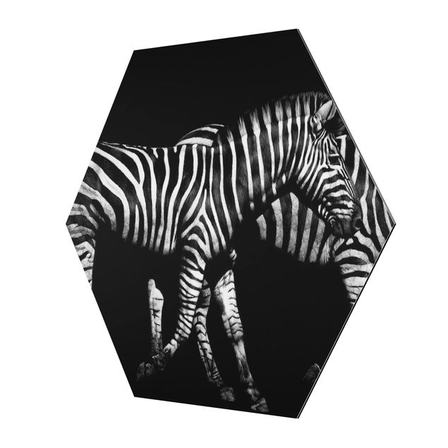 Hexagons Aluminium Dibond schilderijen Zebra In The Dark