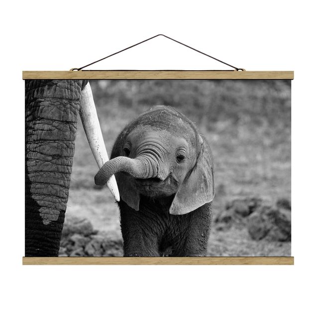 Stoffen schilderij met posterlijst Baby Elephant