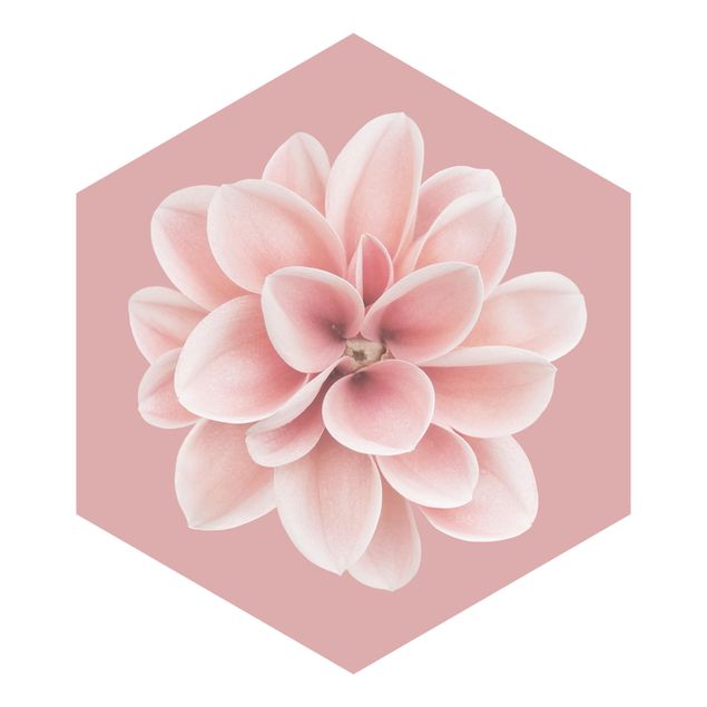 Hexagon Behang Dahlia On Blush Pink